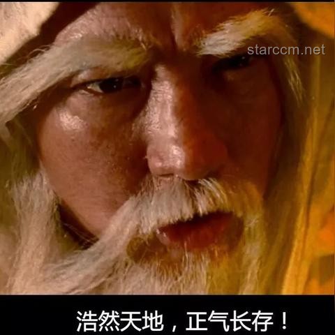 重生后，我和恋爱脑势不两立：摆脱情感困境的实战指南